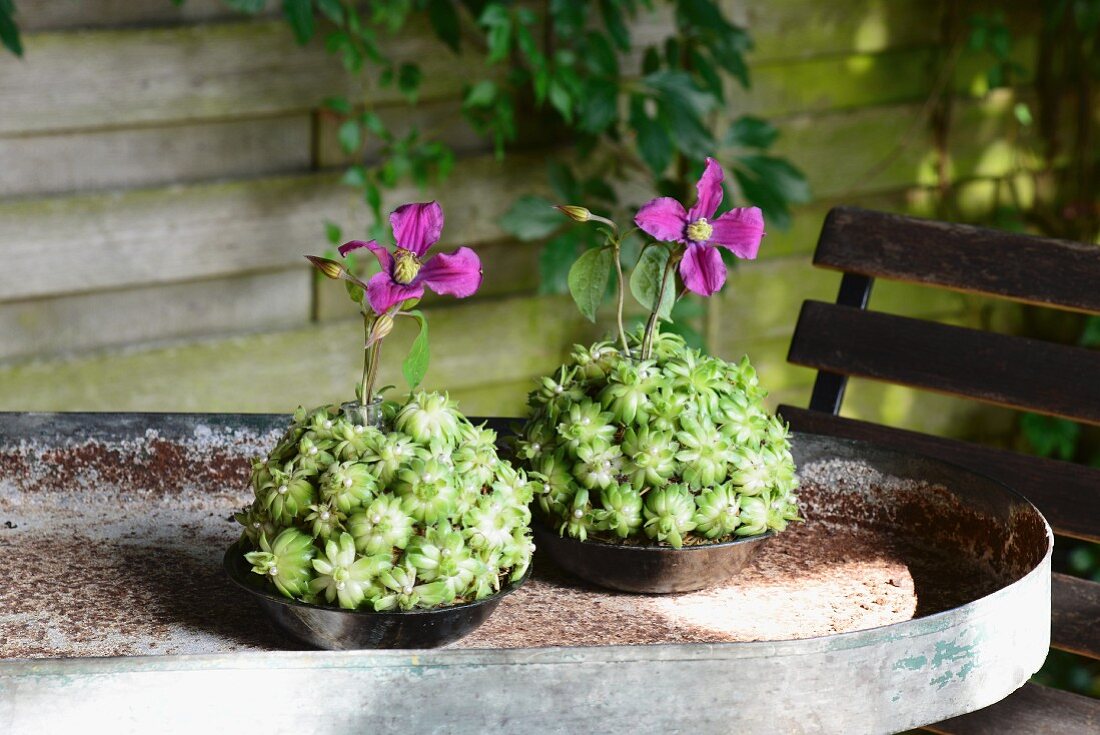 Two arrangements of succulents and pink flowers on rusty table