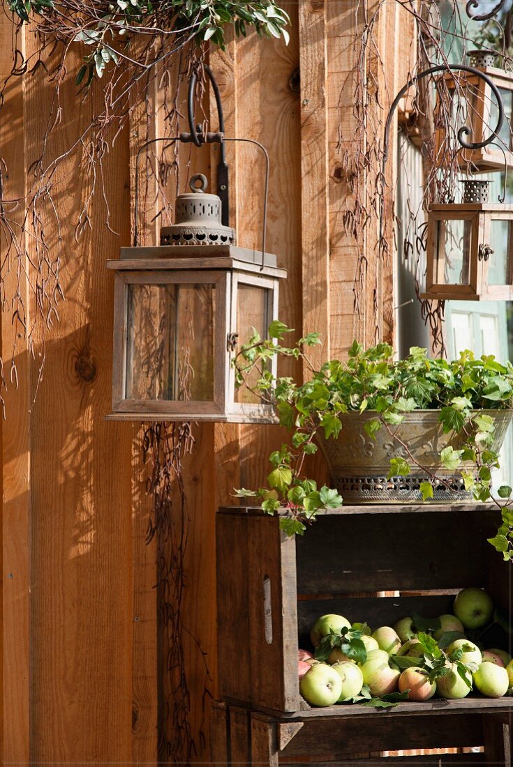 An Holzwand aufgehängte Laterne, darunter aufgestellte Holzkisten mit geernteten Äpfeln