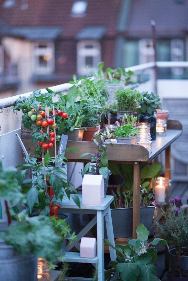 Pflanztisch auf Dachterrasse dekoriert mit Windlichtern, Kräuter- und Gemüsepflanzen