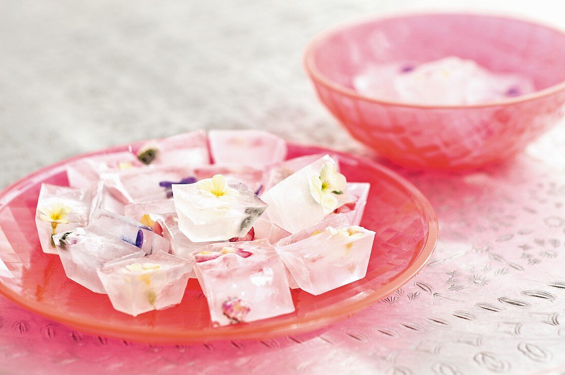 Eiswürfel mit eingefrorenen Blüten auf pinkfarbener Glasschale