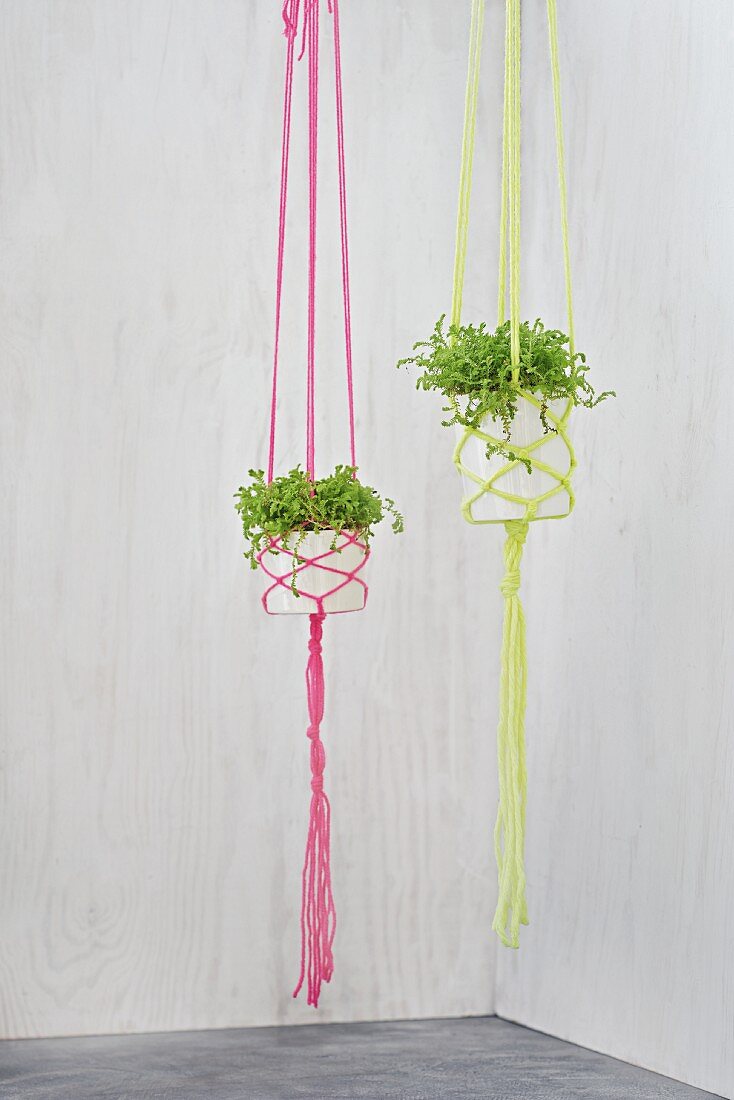 Selbst gebastelte Blumenampeln aus Übertöpfen mit neonfarbener Wolle