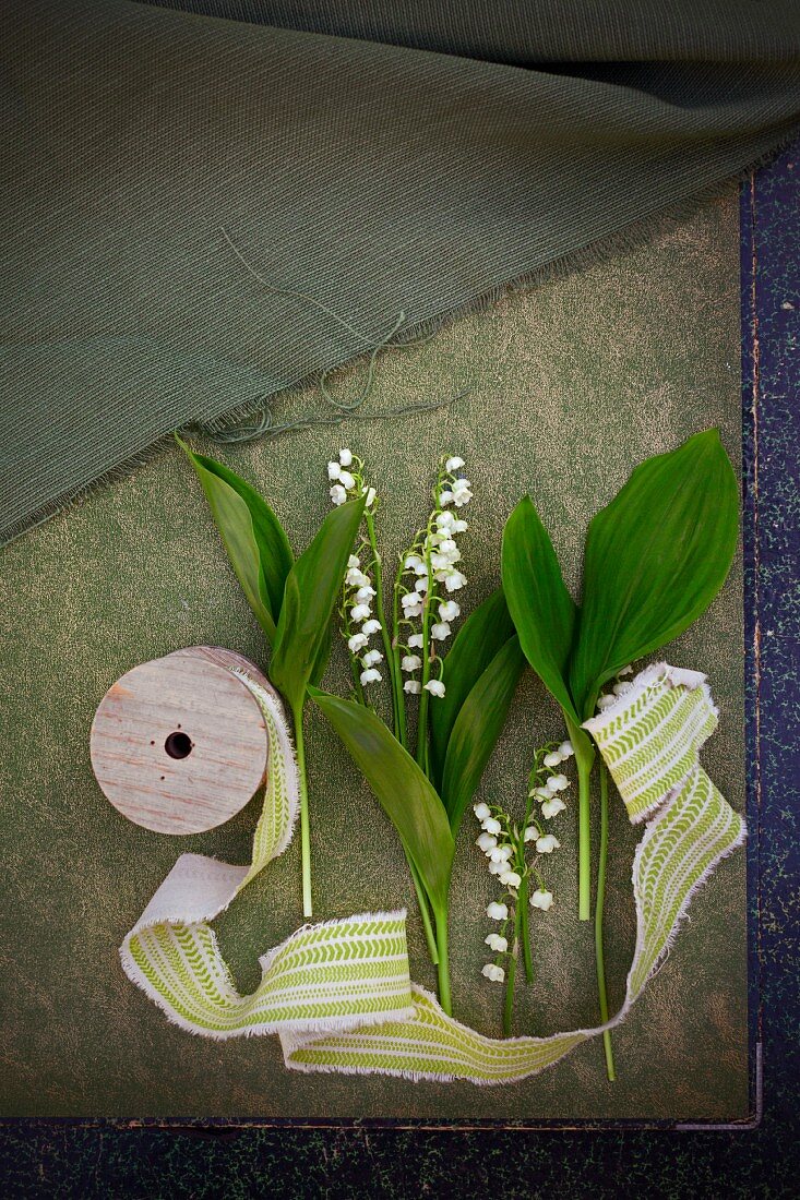 Maiglöckchen mit Blättern und Stoffband auf altem Papieruntergrund