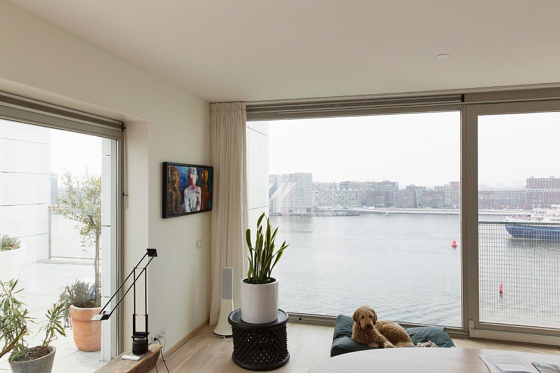 Wohnzimmerecke mit Panoramablick auf Hafeneinfahrt, vor Fensterfront mit Pflanzentopf auf Beistelltisch neben Hund auf Bodenkissen