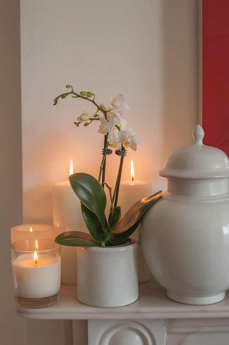 Windlicht und weiße, brennende Stumpenkerzen neben Orchidee und Keramikbehälter mit Deckel