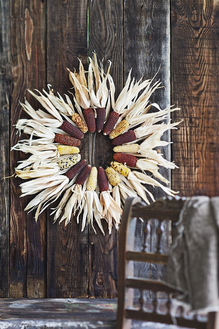 Wreath of decorative maize cobs on board wall
