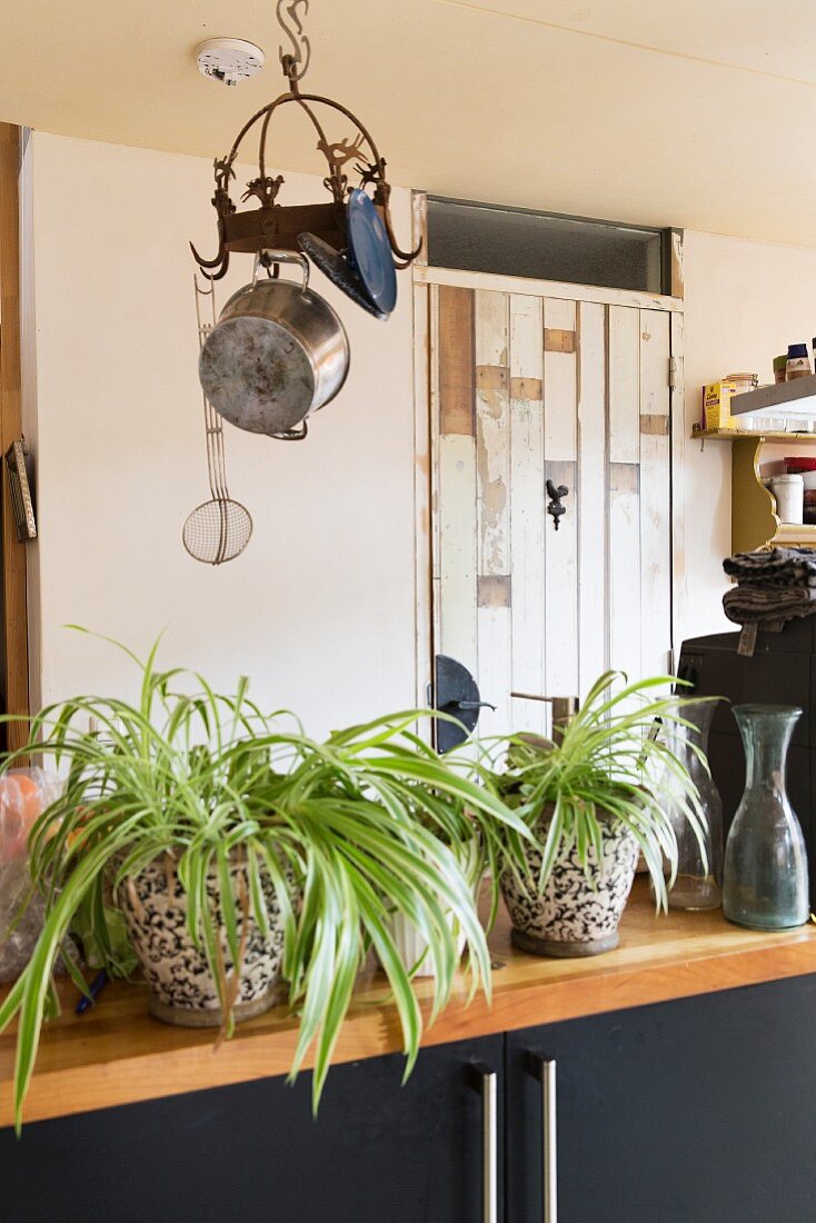House plants on kitchen worksurface and pans hanging from vintage ceiling hooks