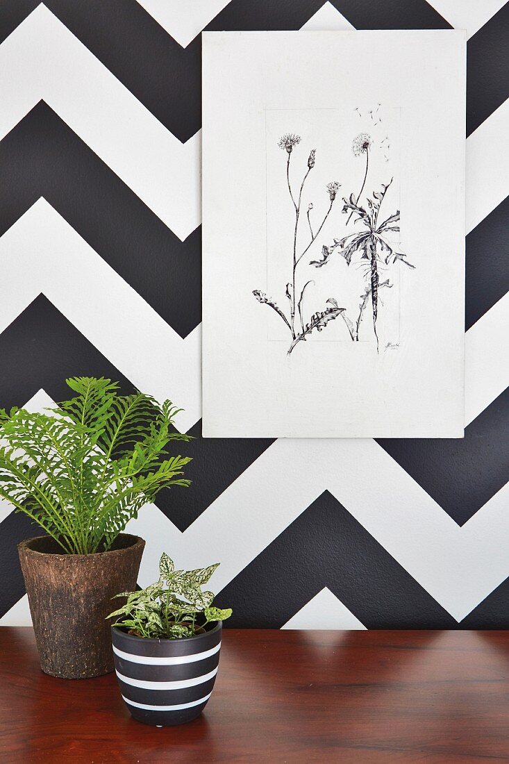 Pflanzenzeichnung an Wand mit schwarz-weißem geometrischem Muster, Zimmerpflanzen in Übertopf