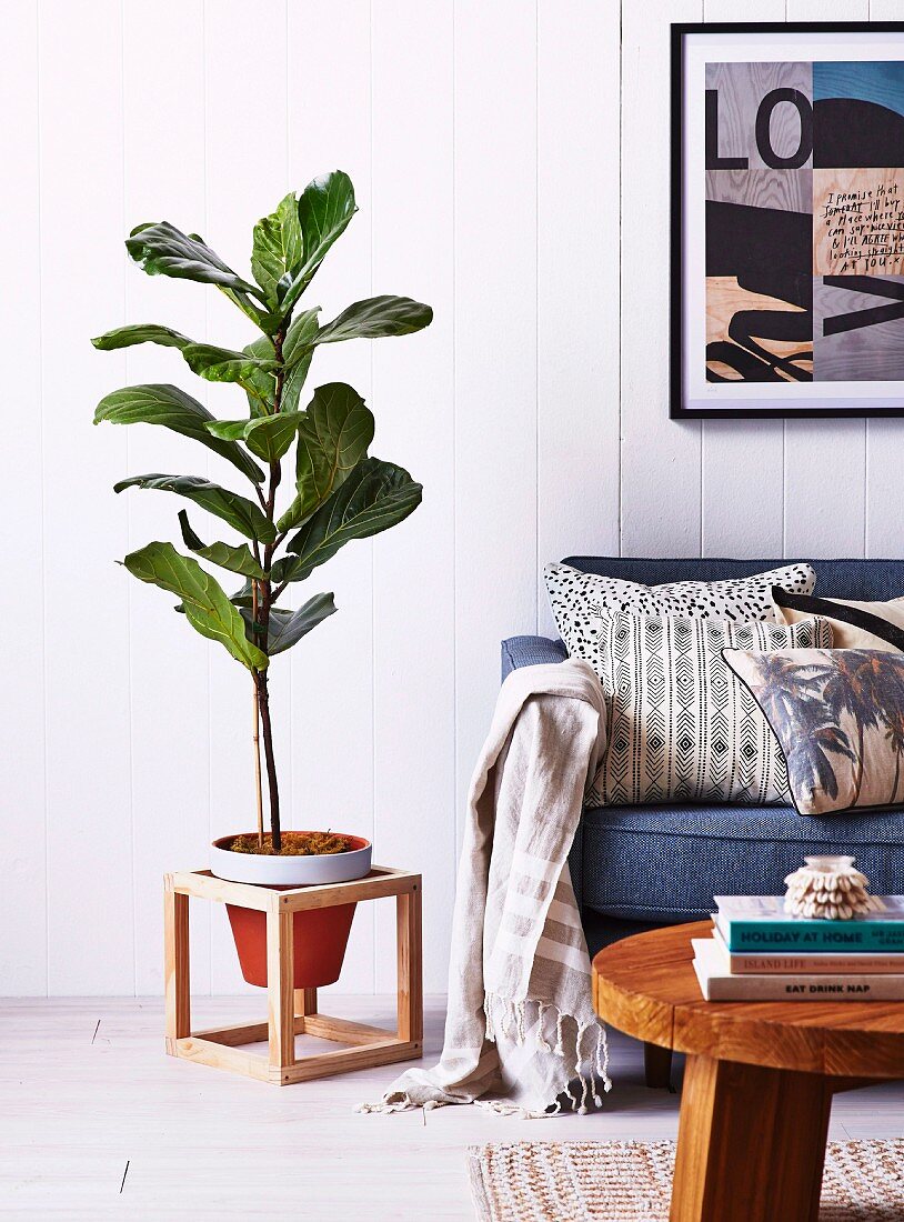 House plant in hand-crafted wooden frame next to sofa against white wood-clad wall