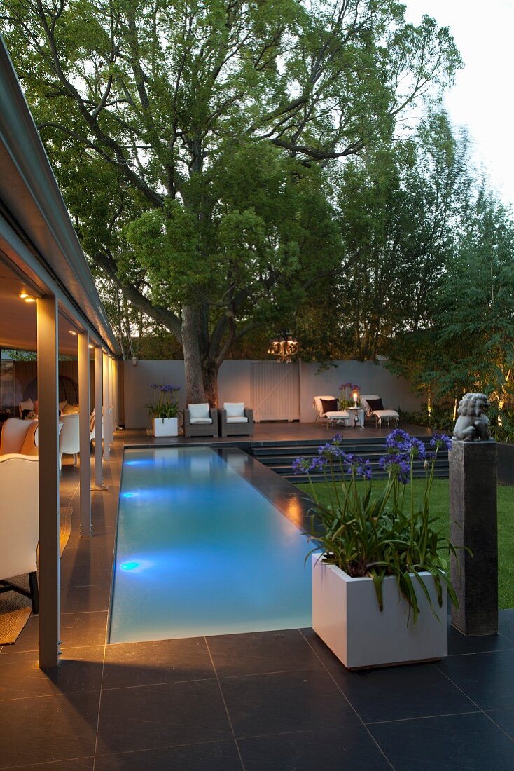 Pool mit Unterwasserbeleuchtung vor überdachter Terrasse