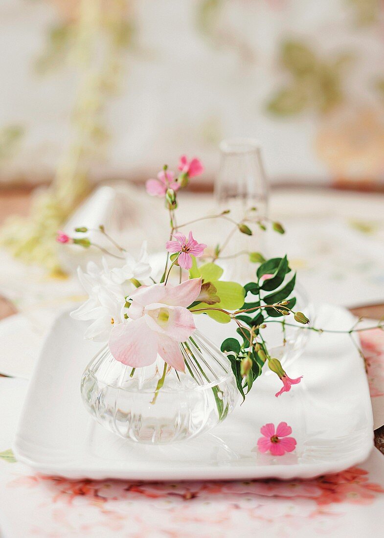 Delicate flowers in glass vase on white ceramic dish