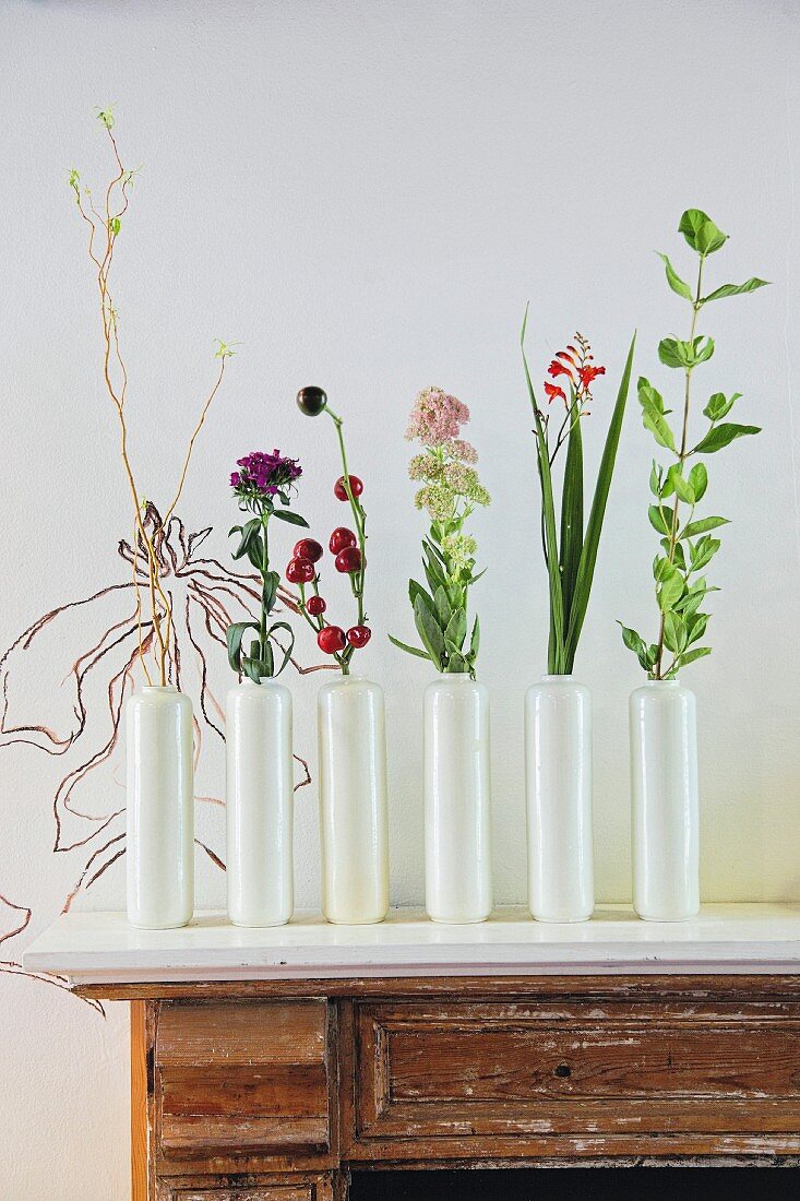 weiße Vasen in Reihe mit einzelnen Blumenstengeln auf Vintage Kommode