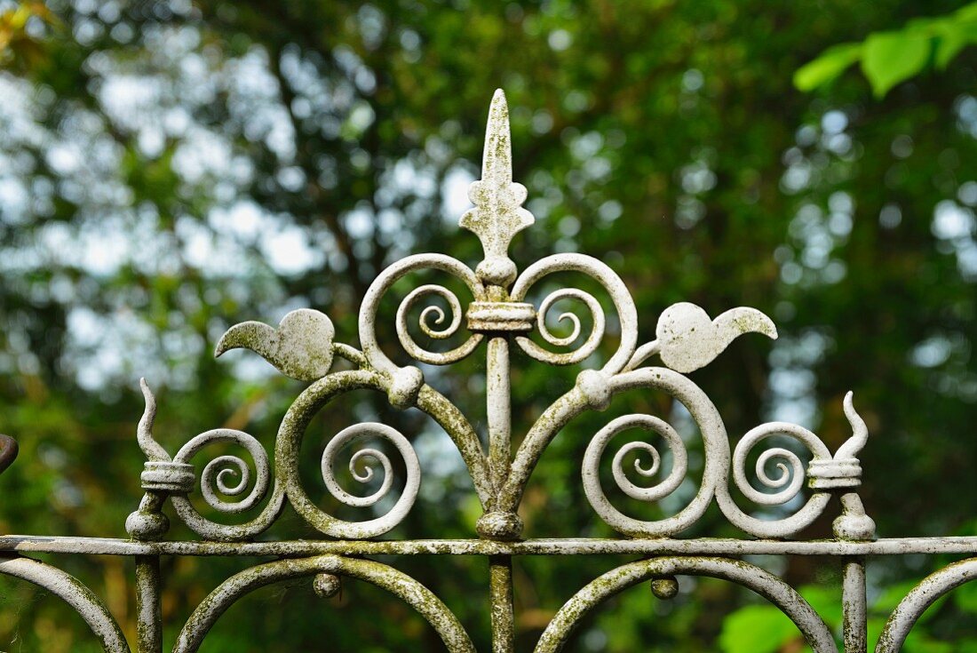 Detail of wrought iron garden fence