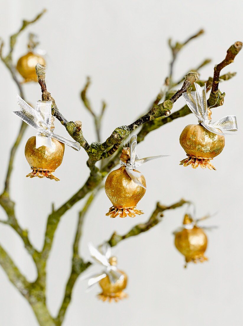 Gold-painted poppy seed heads hung from twigs on ribbons as winter decorations