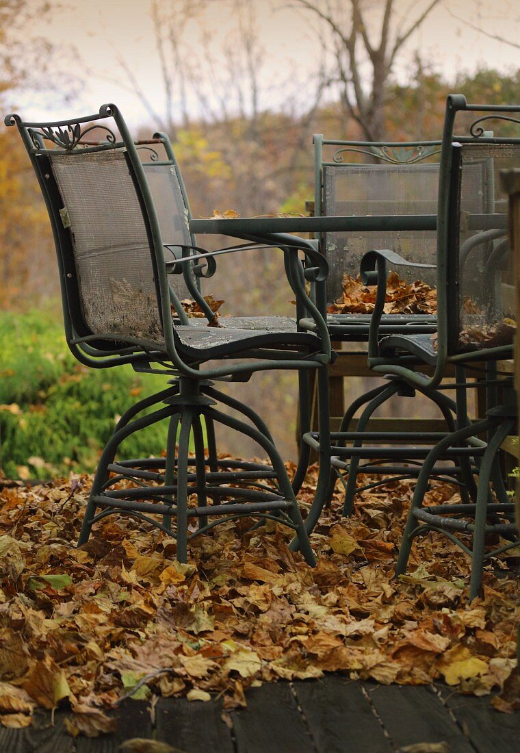 Metallstühle und Tisch auf Herbstlaub im Garten