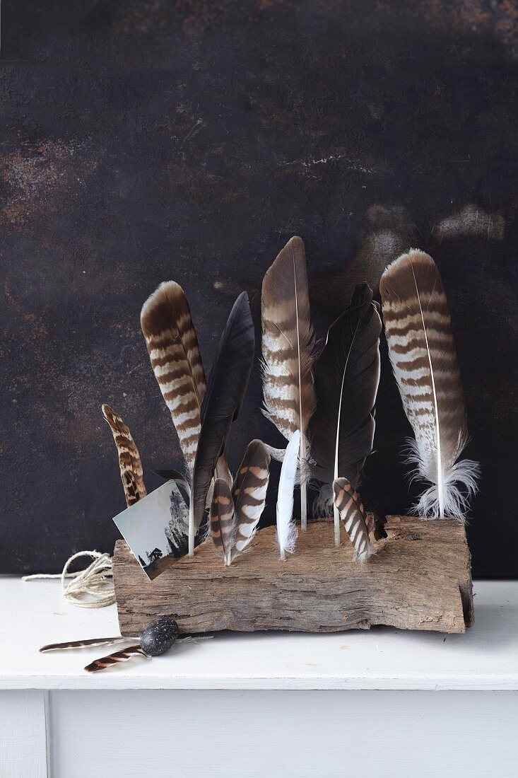 Natural arrangement of feathers on weathered piece of wood