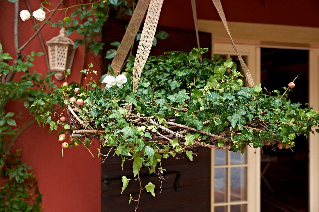 Aufgehängter Weidenkorb mit Efeu und Beeren vor roter Fassade