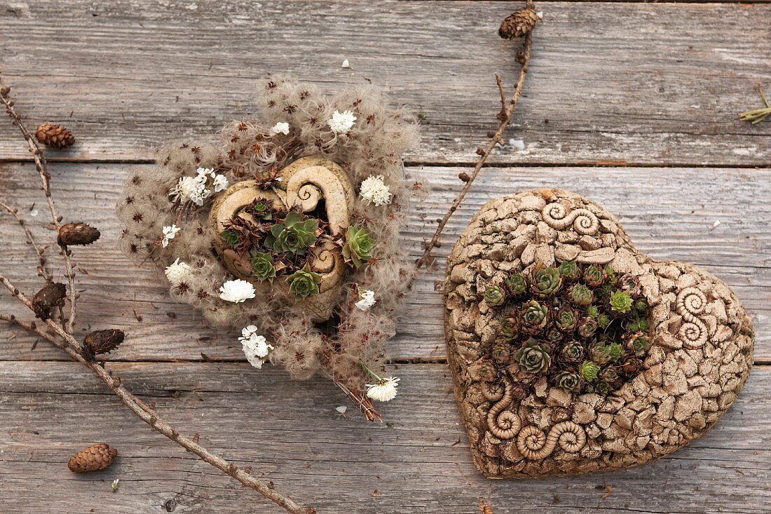 Ceramic love-hearts decorated with Sempervivums and dried flowers
