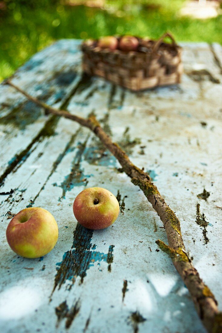 Stillleben mit zwei Äpfeln und verwittertem Ast auf Vintage-Gartentisch