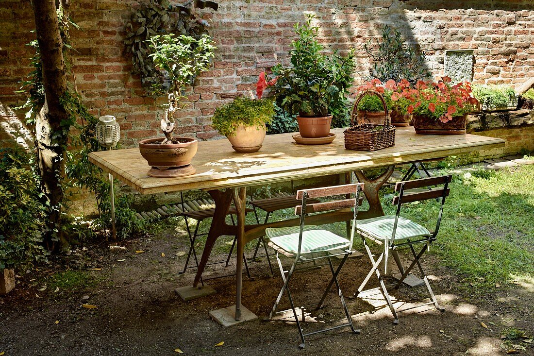 Potted plants on wooden table and simple folding chairs in front of brick wall in courtyard