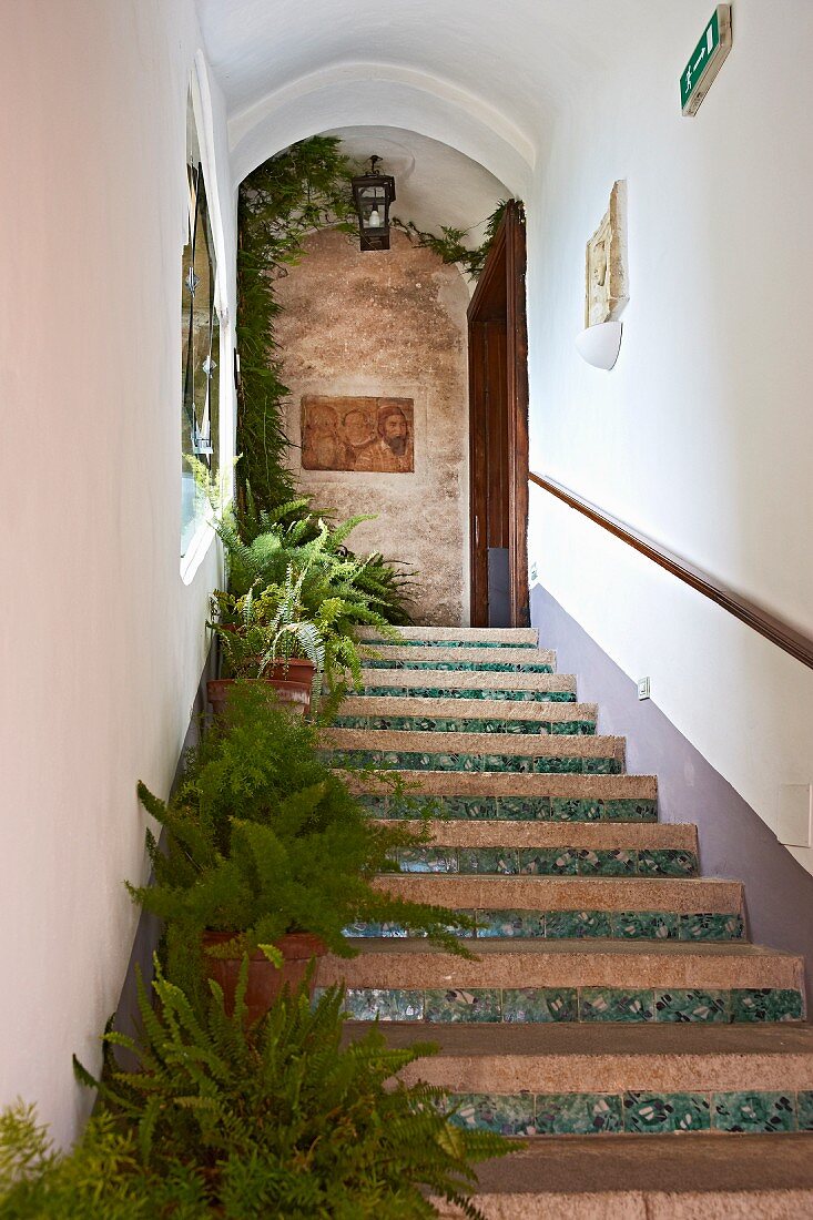 Überdachte Aussentreppe der italienischen Villa Cimbrone, auf Stufen Pflanzentöpfe mit Farn