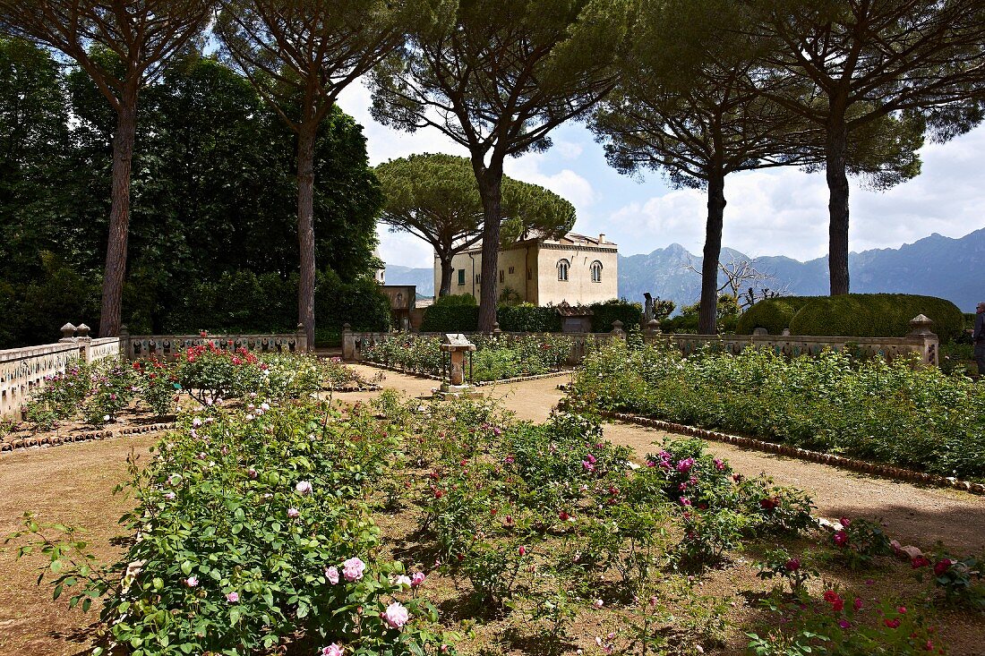 Blick über angelegten Garten in mediterraner Umbebung, im Hintergrund Palazzo (Villa Cimbrone)