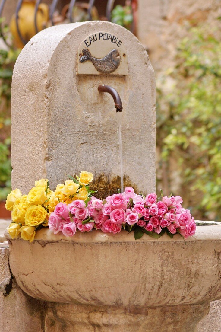 Rosen liegen in Steinbrunnen im Garten