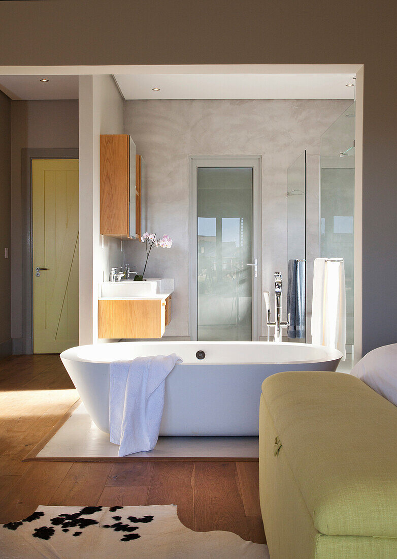 Freestanding bathtub and shower with glass walls in modern bedroom