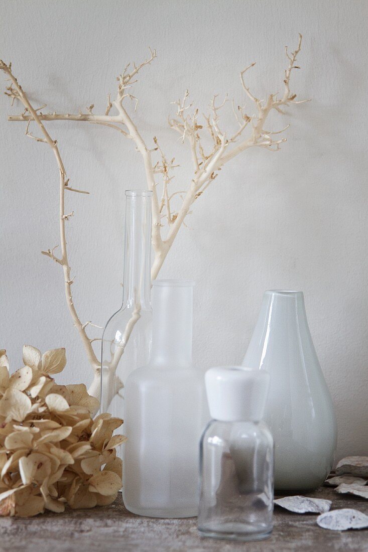 Dried hydrangea flower and twig next to various vases