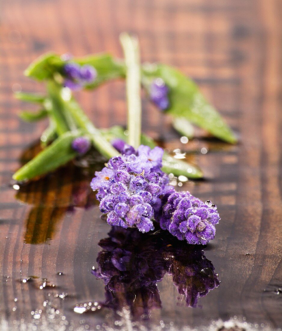 Lavender flowers on wet wooden surface