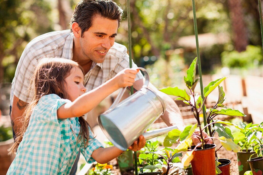 Vater und Tochter gießen die Topfpflanzen im Garten