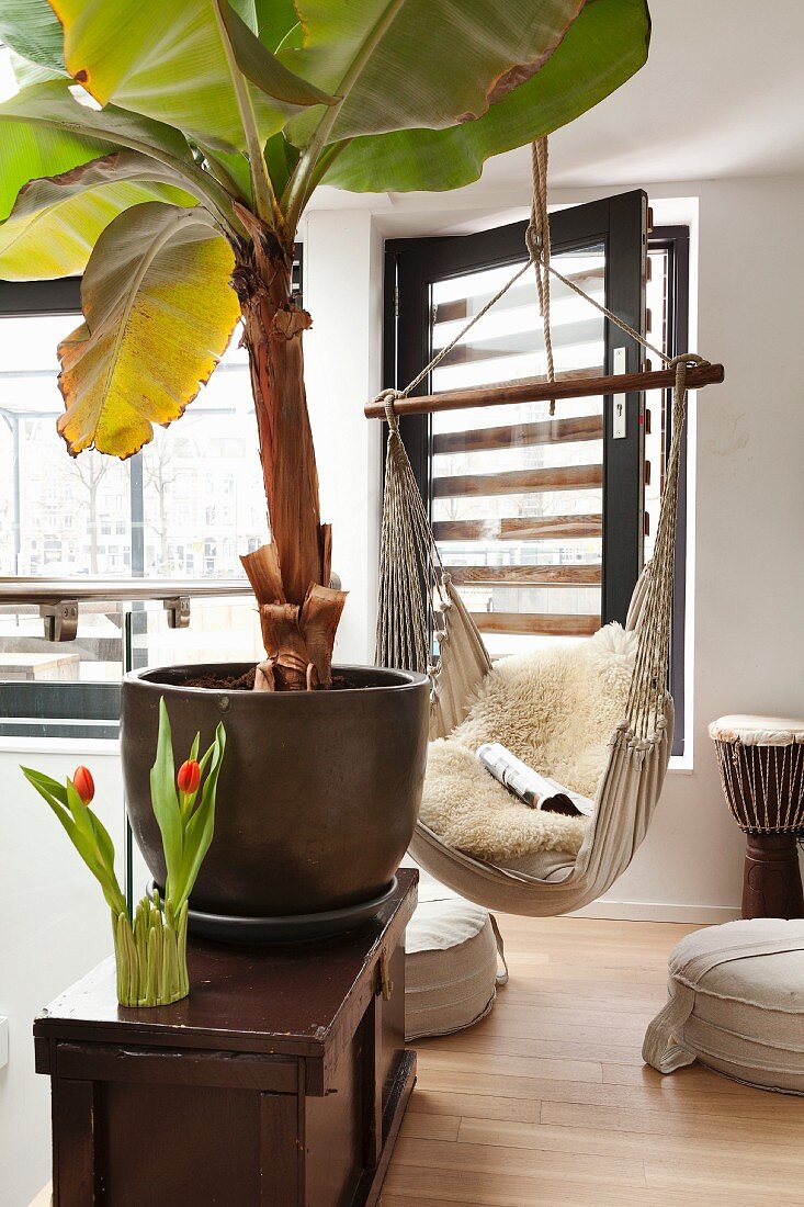 Hanging chair, floor cushions, banana tree and drum in relaxation area