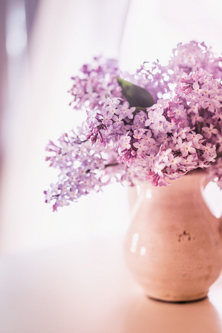 Bouquet of lilacs in ceramic jug