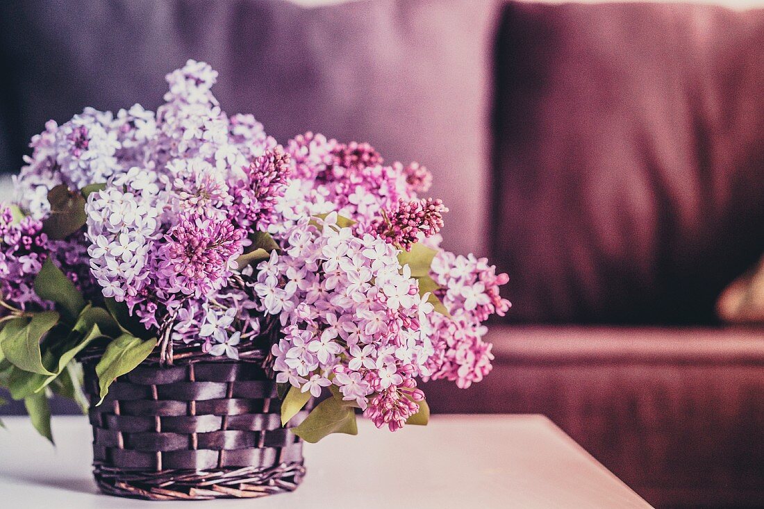Bouquet of lilacs against wooden background