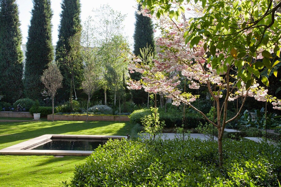 Pool in well-tended lawn with various trees and raised beds