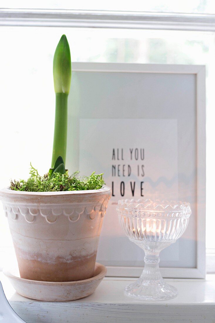 Amaryllis in decorative pot next to tealight in vintage glass bowl and in front of framed motto