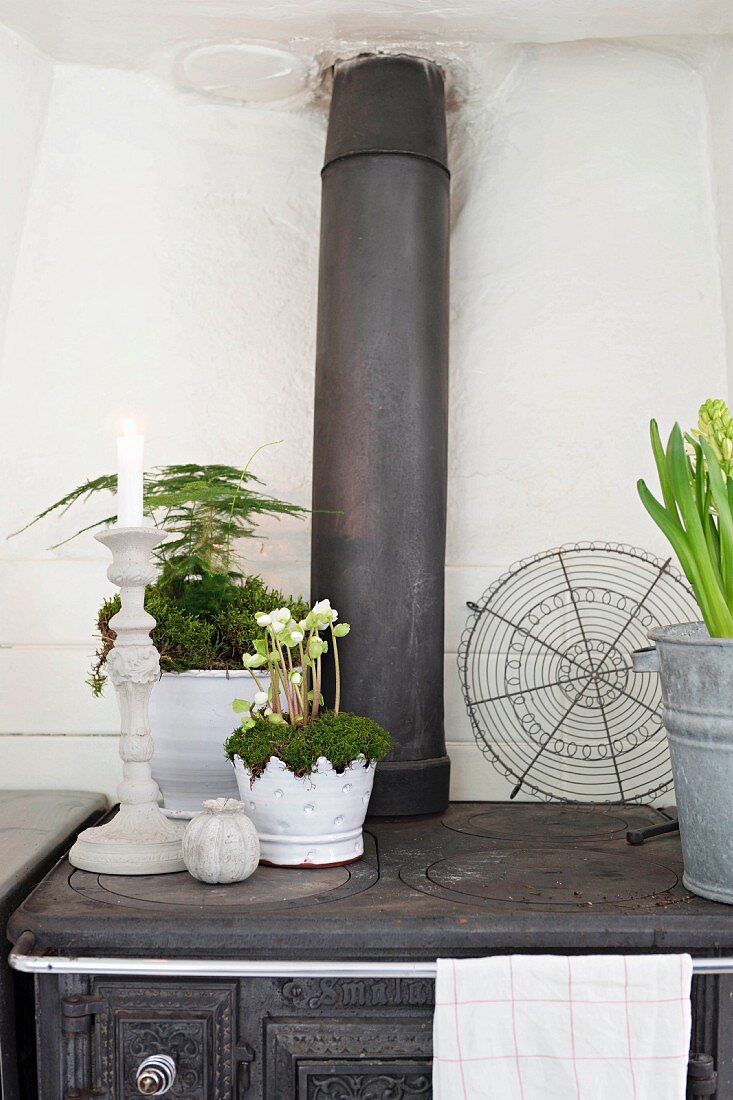 Candlesticks and plants in white pots on top of old cast iron cooker