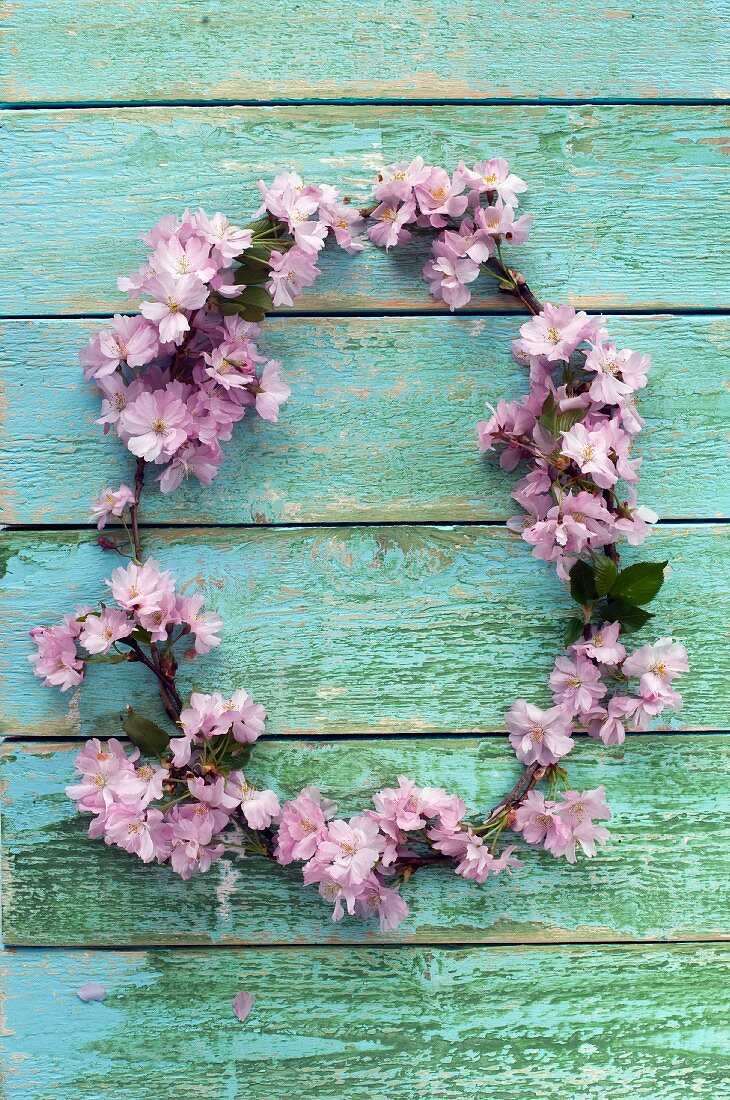 Wreath of pink cherry blossom on wooden wall