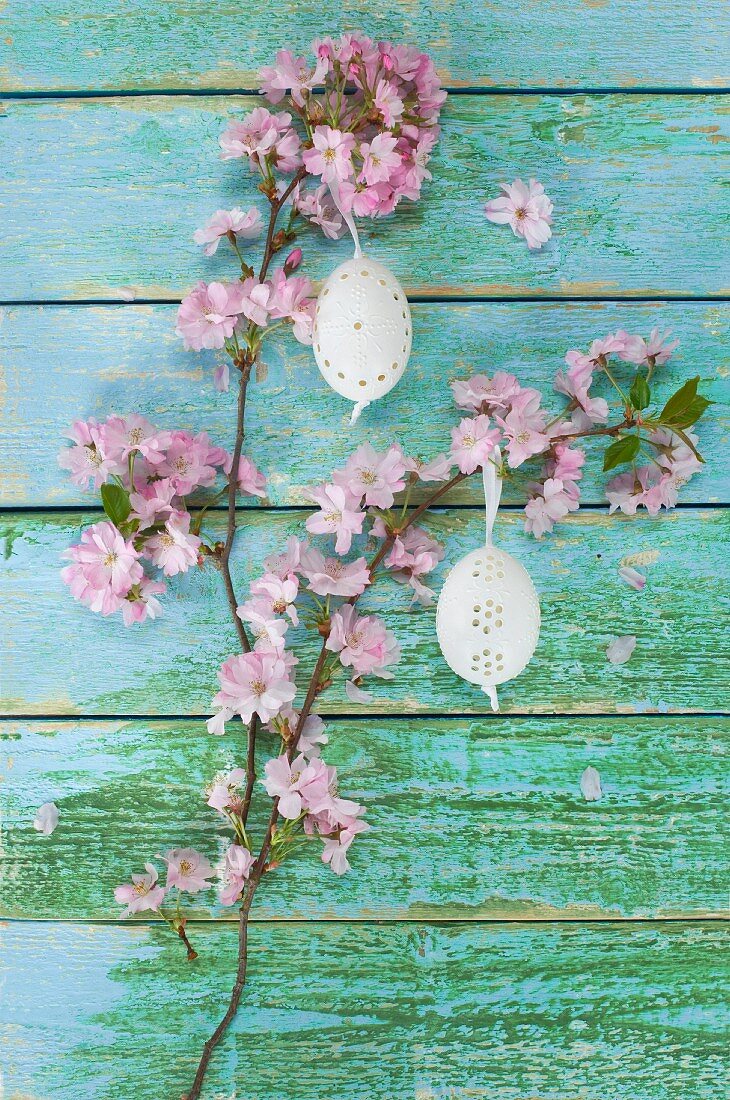 Kirschblütenzweige mit Osterei auf Holzuntergrund