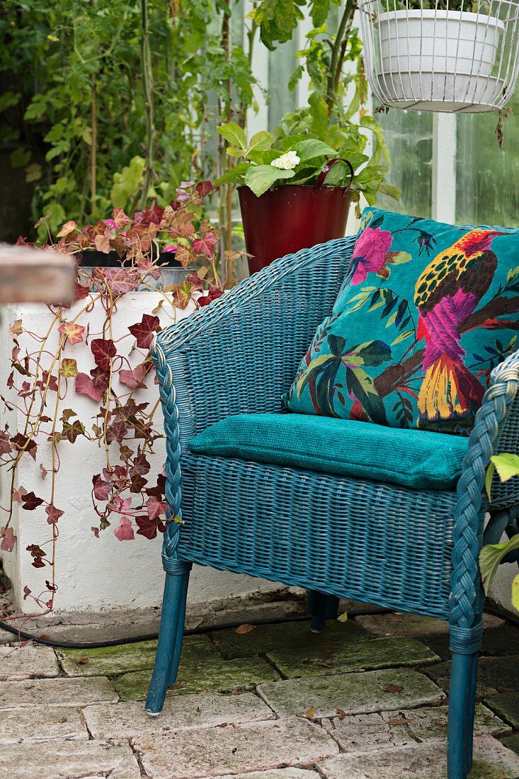 Blue-painted wicker chair and cushion with bird motif in greenhouse