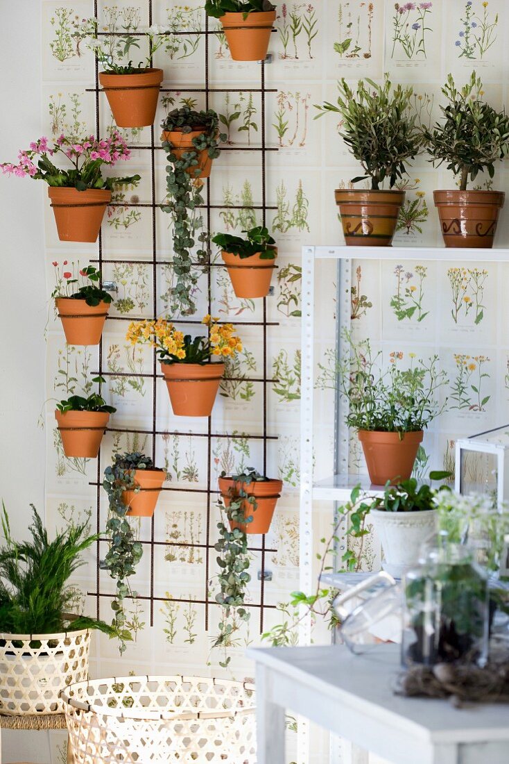 Plants in terracotta pots on rebar grid against wallpaper with botanical motif