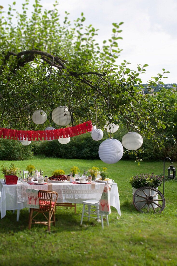 Gartenfest in Schweden zur Flusskrebs-Saison, gedeckter Tisch unter Baum mit weissen Lampions