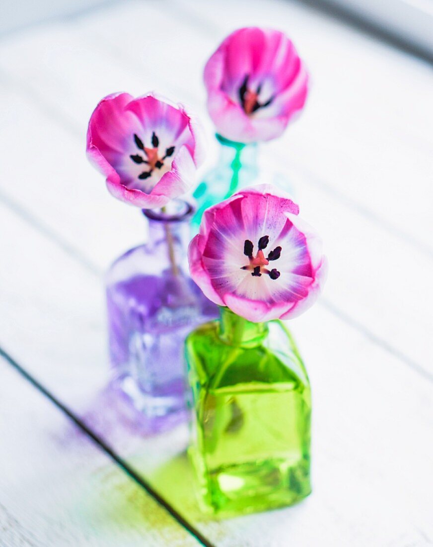 Tulpenblüten in bunten Glasväschen auf weißer Holzunterlage
