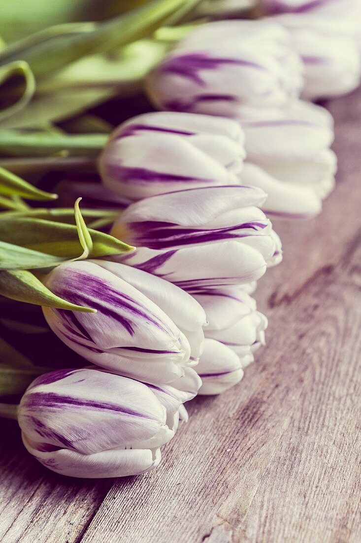 Tulips on wooden surface