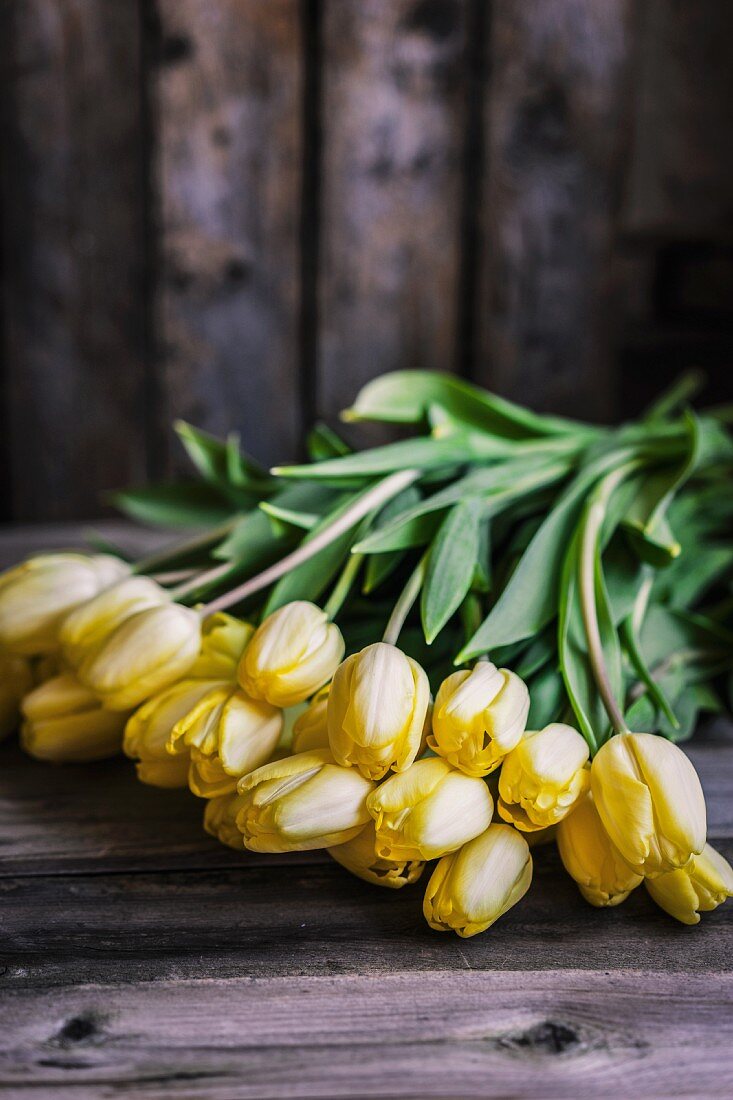 Gelbe Tulpen auf rustikaler Holzunterlage