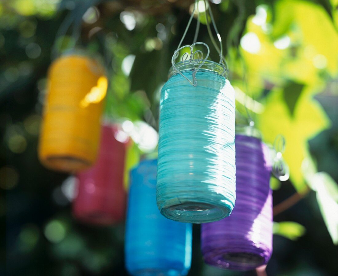 Lanterns of various colours hanging in tree