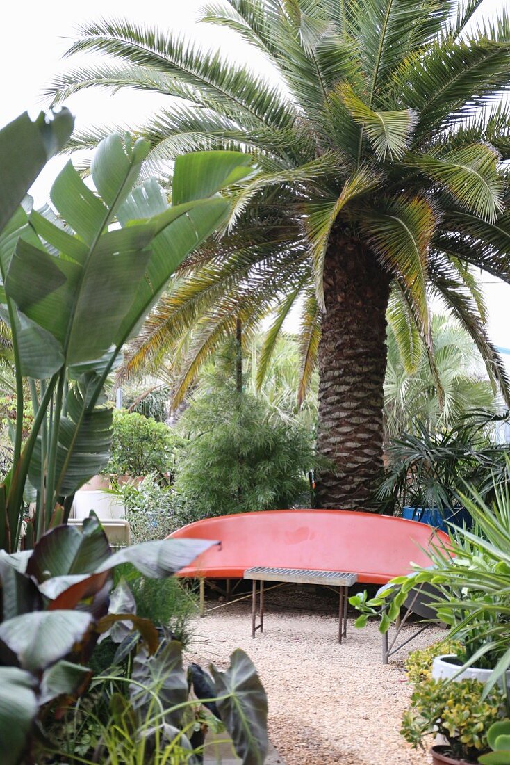 Red, curved plastic bench and palm trees in garden