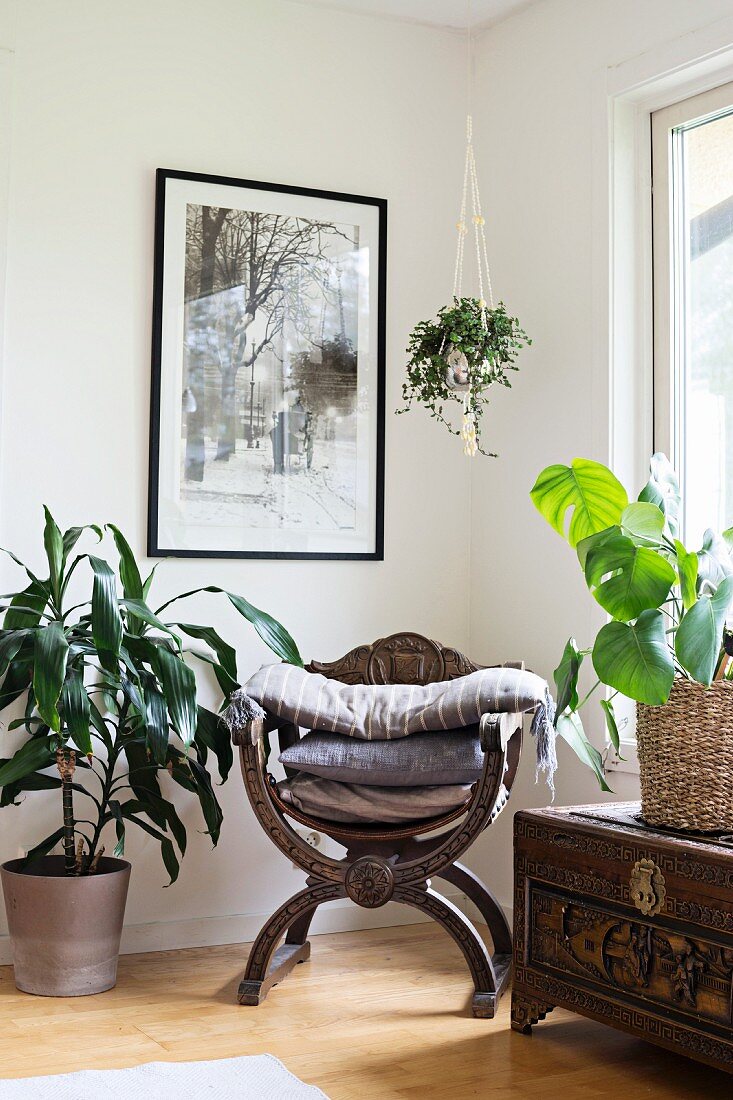 Scherenstuhl mit Kissenstapel umgeben von Zimmerpflanzen