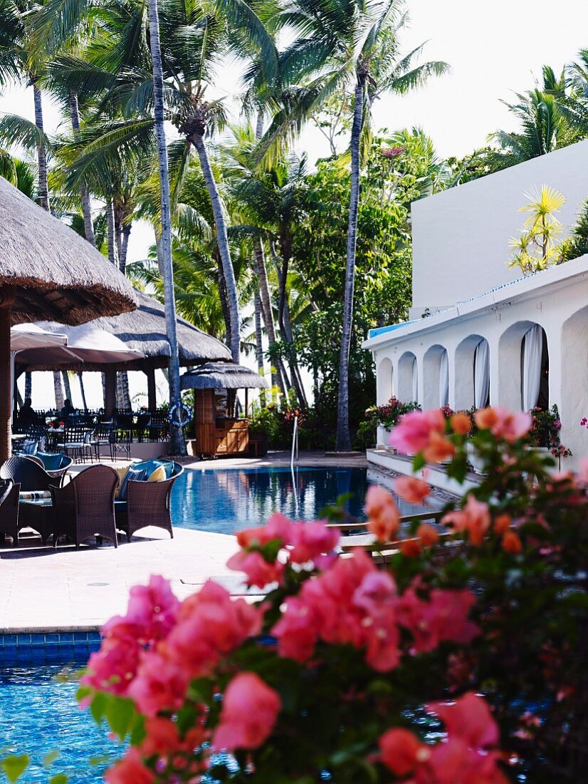 Swimming pool of hotel in Mauritius