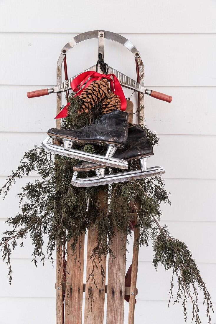 Vintage sledge decorated with ice skates, conifer branches and pine cones