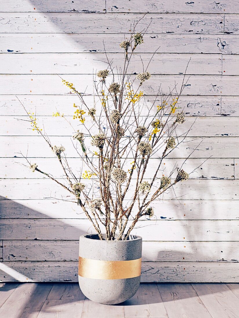 Branches in a concrete flowerpot with golden stripes against a wall of peeled paint
